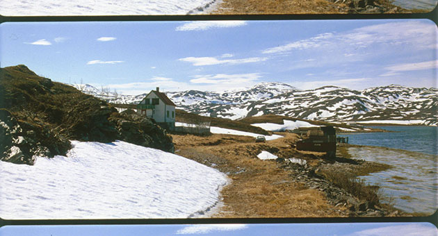 aret i borfjord