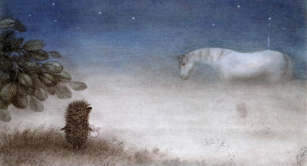 hedgehog in the fog