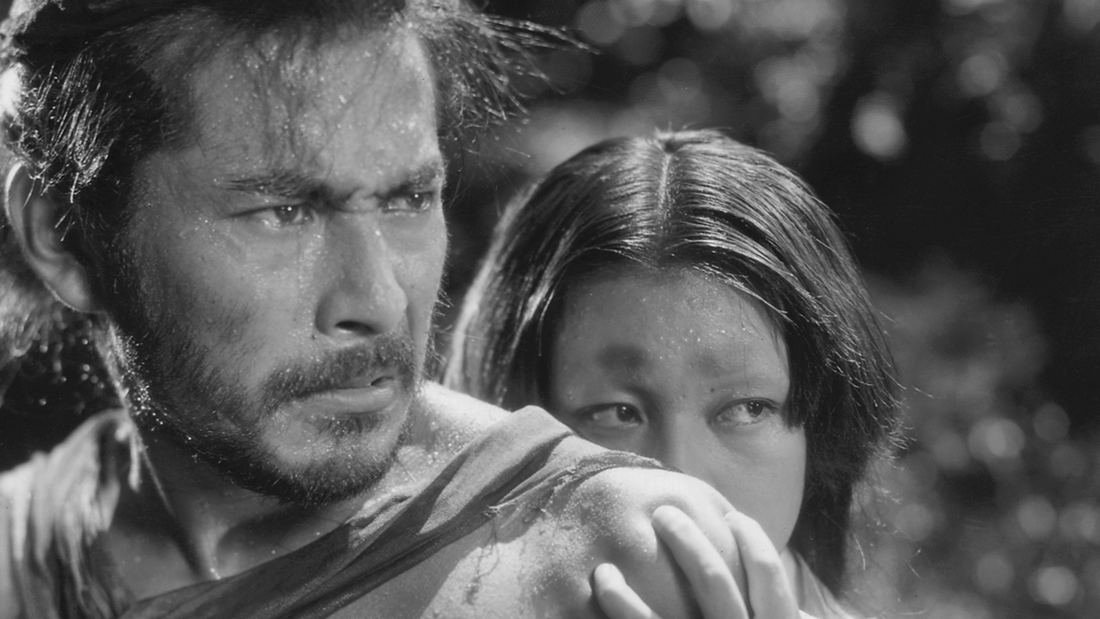 rashomon