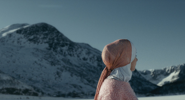 Film fra nord
