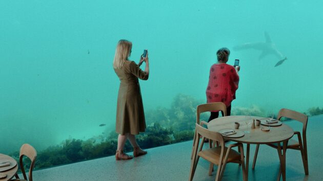 Wonders beneath the Sea 1 1536x864