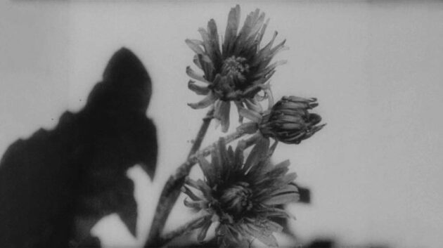 In Spring 6