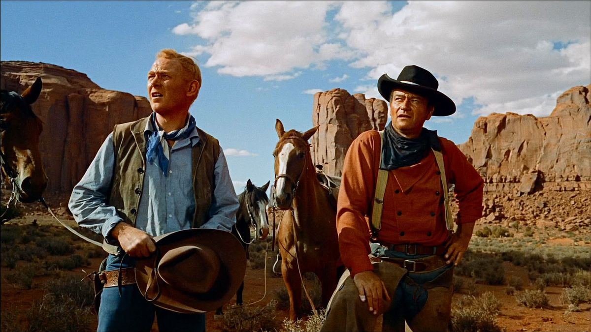 the searchers